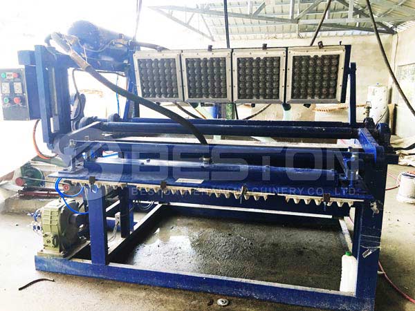 1500pcs Small Egg Tray Machine